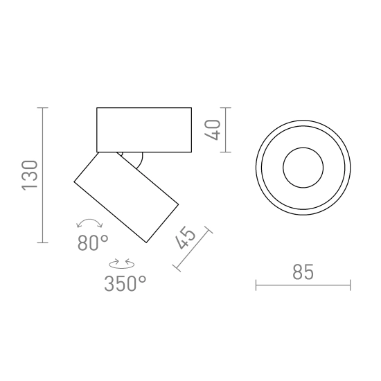 Plafon ALBANO R14425 Rendl light studio