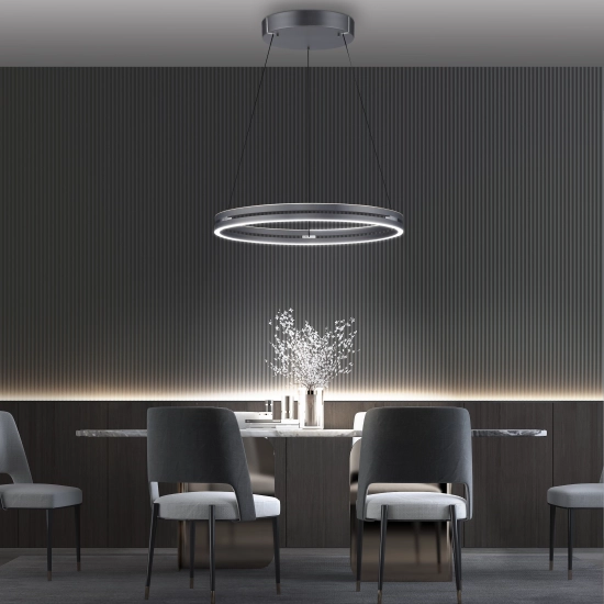 Lampa wisząca Pure E-loop Szary 2551-15 Paul Neuhaus - zdjęcie produktu