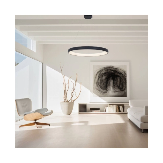 2060 PENDANT LIGHT 60W 3000K ALUMINUM & ACRYLIC SANDY BLACK FOR INDOOR SPACES Zambelis Lights