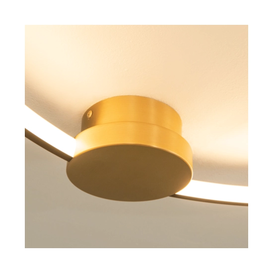 23098 CEILING LED LIGHT 24W 3000K ALUMINIUM-SILICON,GOLD-BLACK RING FOR INTERIOR USE Zambelis Lights