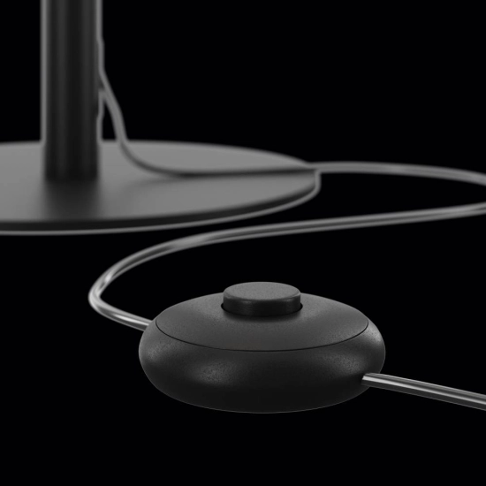 Lampa podłogowa Floor Lamp Ray Z012FL-L18B3K Maytoni - zdjęcie dodatkowe 4
