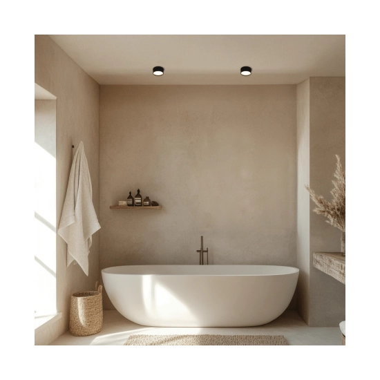 25216 CEILING LED LIGHT 12W 2700K-3200K-4000K DALI, SANDY BLACK Zambelis Lights