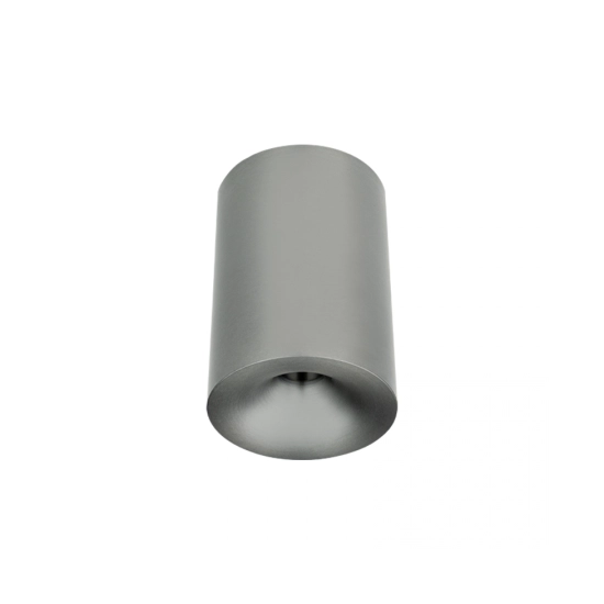25297 CEILING LED SPOT 10W 3000K IP54 SILVER MATT Zambelis Lights