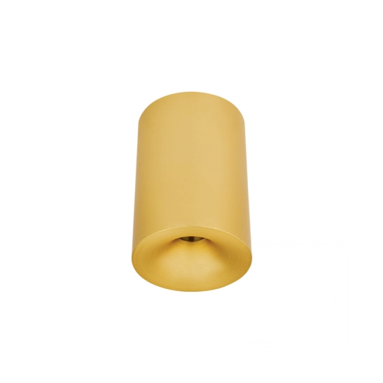 25298 CEILING LED SPOT 10W 3000K IP54 BRASS MATT Zambelis Lights