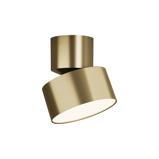 25314 CELING LED LIGHT 10W 3000K MOVABLE GOLD MATT Zambelis Lights