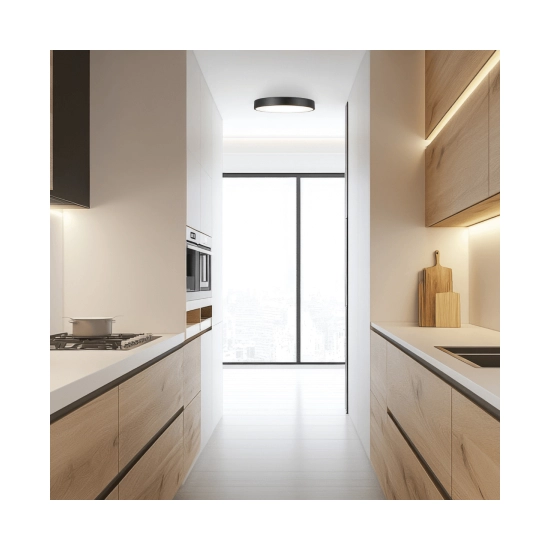 25377 CEILING LED LIGHT 28W 3000K BLACK MATT - ALUMINIUM - ACRYLIC Zambelis Lights