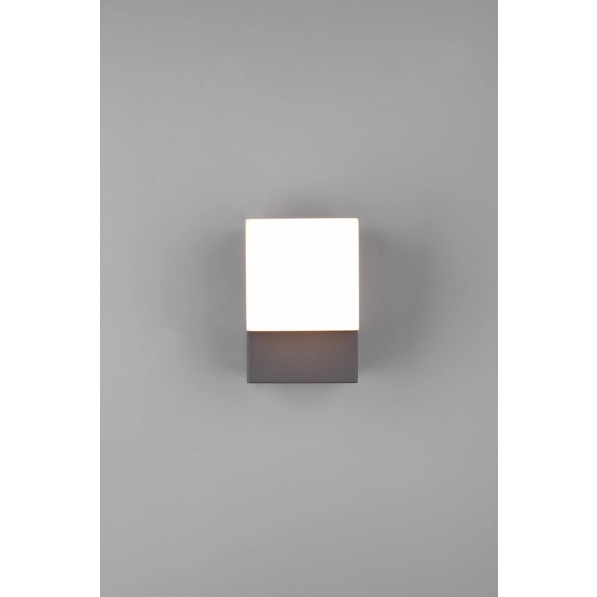 AVON – 270660142 incl. 1x SMD LED, 7W · 1x 800lm, 3000K TRIO