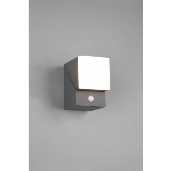 AVON – 270669142 incl. 1x SMD LED, 7W · 1x 800lm, 3000K TRIO