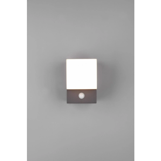 AVON – 270669142 incl. 1x SMD LED, 7W · 1x 800lm, 3000K TRIO