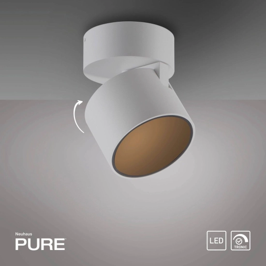 Lampa sufitowa Pure Cup Biała 6226-16 Paul Neuhaus - zdjęcie produktu