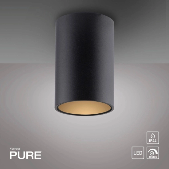 Lampa sufitowa Pure Point Czarna 6749-18 Paul Neuhaus - zdjęcie produktu