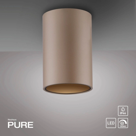 Lampa sufitowa Pure Point Brązowa 6749-97 Paul Neuhaus - zdjęcie produktu