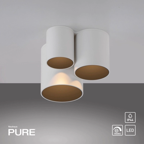 Lampa sufitowa Pure Point Biała 6750-16 Paul Neuhaus - zdjęcie produktu