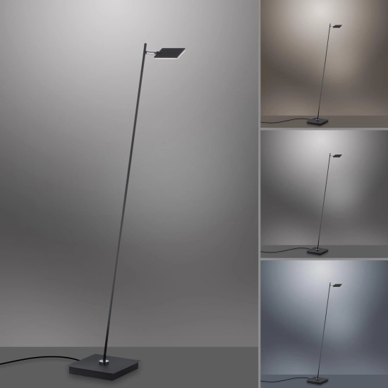 Lampa podłogowa Pure Mira Antracyt 356-18 Paul Neuhaus - zdjęcie dodatkowe 8