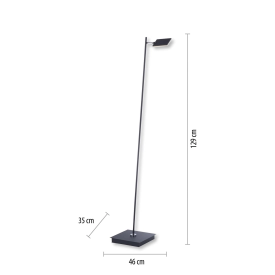 Lampa podłogowa Pure Mira Antracyt 356-18 Paul Neuhaus - zdjęcie dodatkowe 2