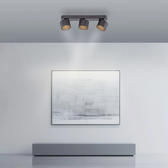 Lampa sufitowa Pure Cup Czarna 6227-18 Paul Neuhaus - zdjęcie dodatkowe 4