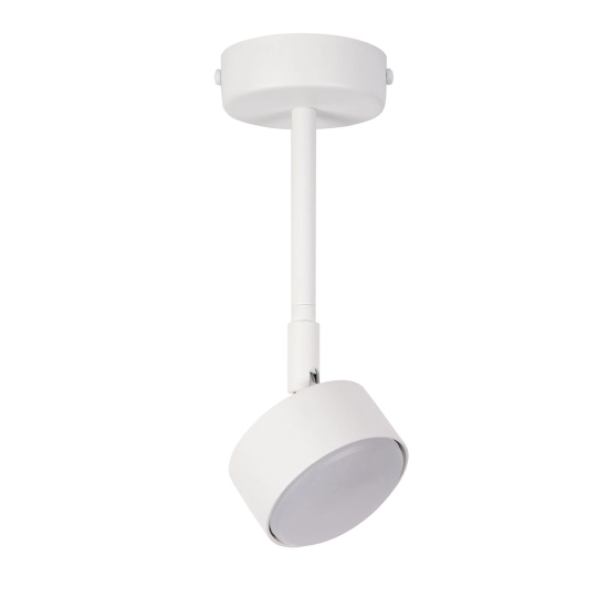 NEMO 1 M plafon biały 40979 Sigma - zdjęcie produktu