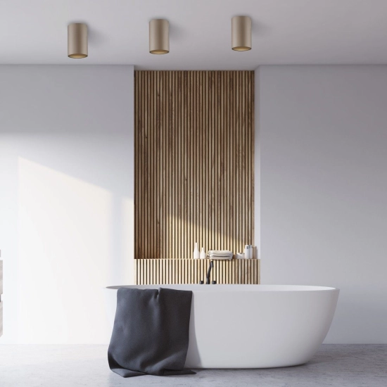 Lampa sufitowa Pure Point Brązowa 6749-97 Paul Neuhaus - zdjęcie dodatkowe 2