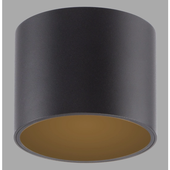 Lampa sufitowa Pure Point Czarna 6761-18 Paul Neuhaus - zdjęcie produktu