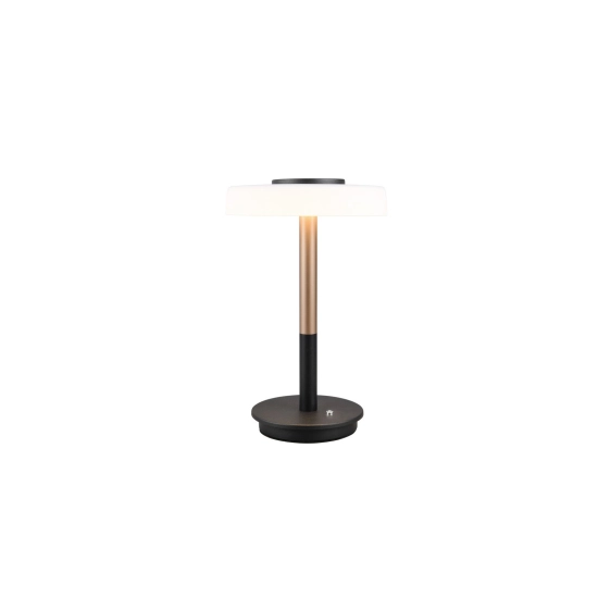 CELESTE – 554910165 incl. 1x SMD, 10W · 1x 1050lm, 3000K TRIO