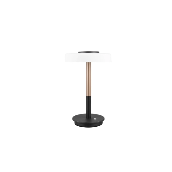 CELESTE – 554910165 incl. 1x SMD, 10W · 1x 1050lm, 3000K TRIO