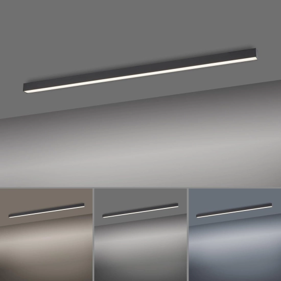 Lampa sufitowa Pure Lines Antracyt 6021-13 Paul Neuhaus - zdjęcie dodatkowe 3