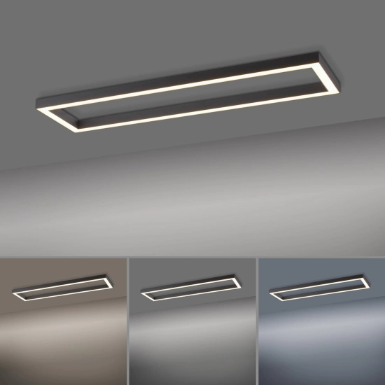 Lampa sufitowa Pure-lines Antracyt 6023-13 Paul Neuhaus - zdjęcie dodatkowe 4
