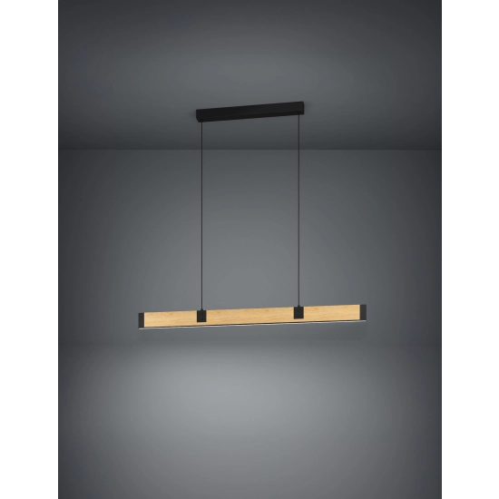 CAMINARRO Lampa wisząca 390225 EGLO