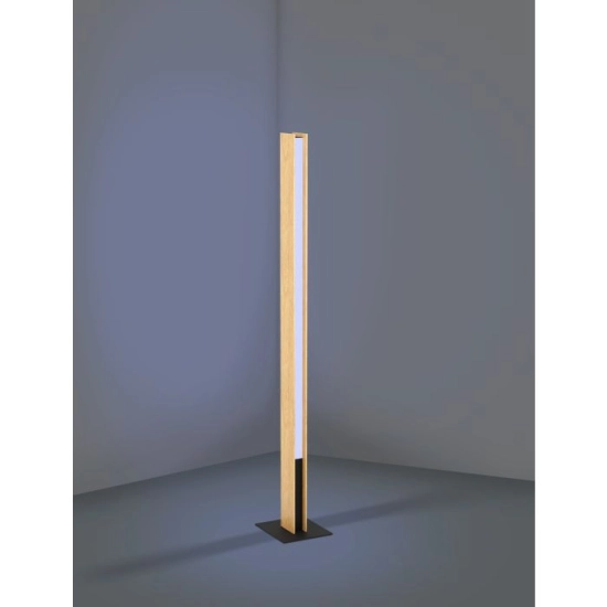 ANCHORENA-Z Lampa podłogowa 900392 EGLO