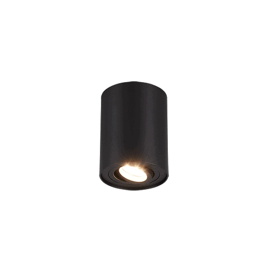 kinkiecik.pl Plafon COOKIE – 612900132 excl. 1x GU10 · max. 35W TRIO
