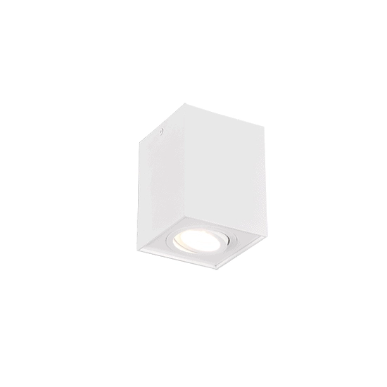 kinkiecik.pl Plafon BISCUIT – 613000131 excl. 1x GU10 · max. 35W TRIO