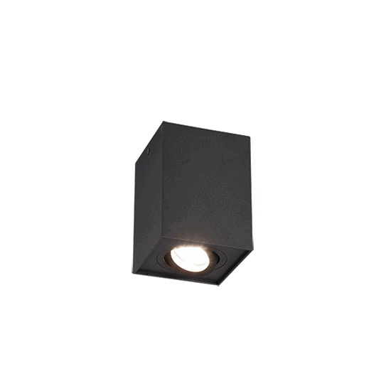kinkiecik.pl Plafon BISCUIT – 613000132 excl. 1x GU10 · max. 35W TRIO