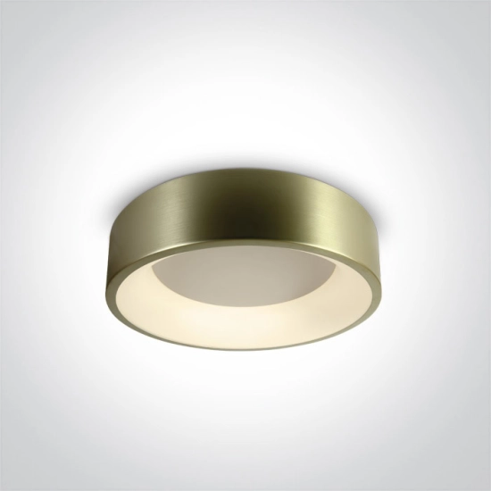 kinkiecik.pl The LED Decorative Plafo Round 62132N/BBS/W ONE LIGHT