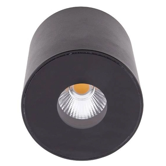 kinkiecik Plazma plafon czarny IP54 C0151 MaxLight