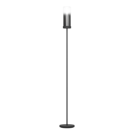 TOOTHILL Lampa podłogowa 44004 EGLO