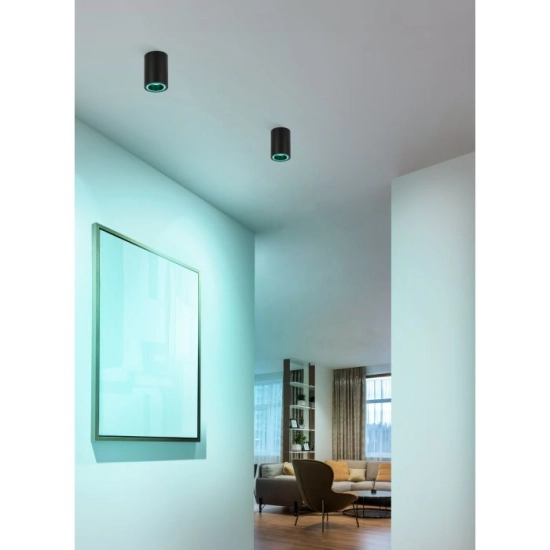 CAROSSO-Z Oprawa sufitowa LED GU10 Czarna tubka spot plafon Smart Home 901168 EGLO