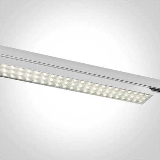 kinkiecik.pl Ranzi 65170AT/W/C biały naświetlacz SMD LED 4000K 30W 230V; zasilacz 700mA w komplecie ONE LIGHT