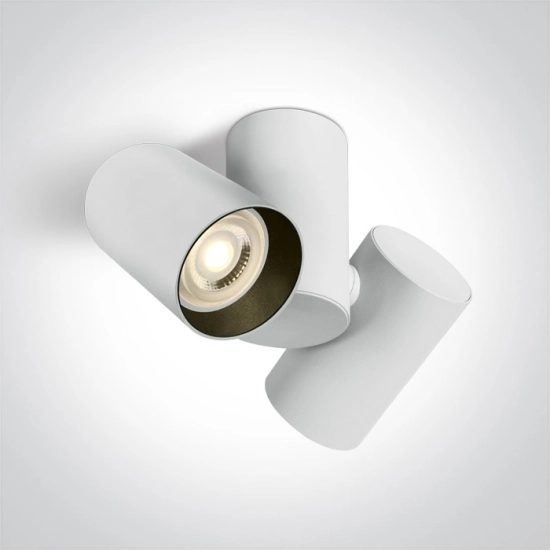 65205E/W WHITE GU10 2x10w DARK LIGHT One Light