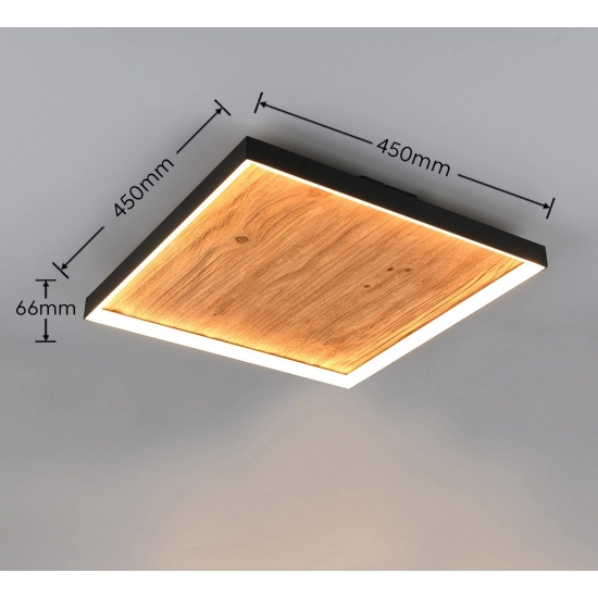 KALEA – 655510130 incl. 1x SMD, 41W · 1x 4800lm, 3000K TRIO