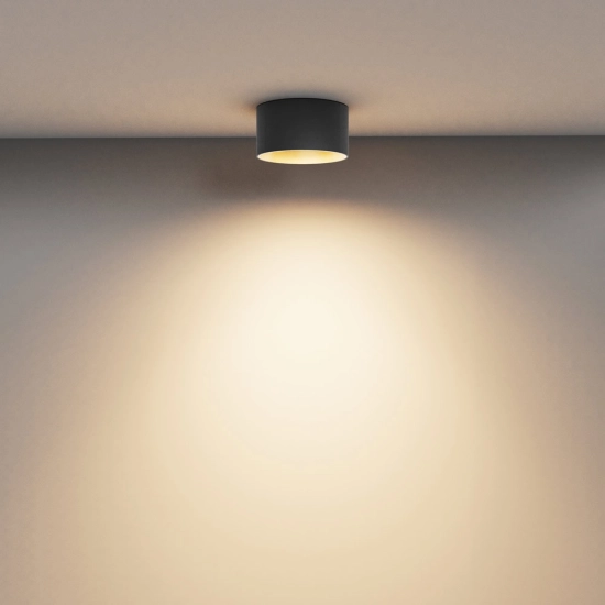 Lampa sufitowa Vega C089CL-15W3K-BMG Maytoni - zdjęcie dodatkowe 3