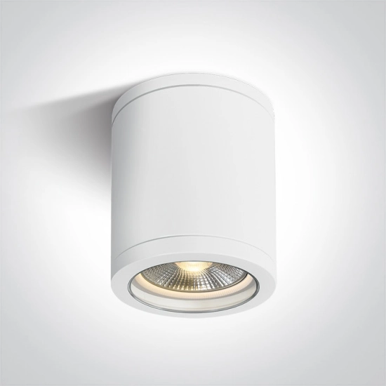 PAR30 Outdoor Cylinders 67142C/W ONE LIGHT