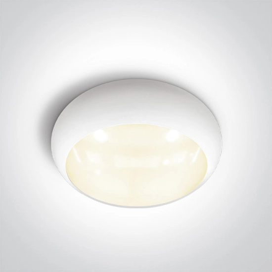 WHITE EMERGENCY 3Hrs PLAFON 15W CCTV IP65 230V 67218E/W/V ONE LIGHT