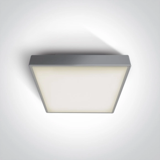 GREY LED PLAFON 16W WW IP65 EMERGENCY 3hrs 230V 67282ANE/G/W ONE LIGHT