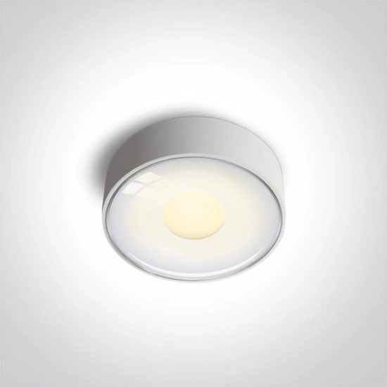 Indoor/Outdoor Light Points 67484/W/W ONE LIGHT