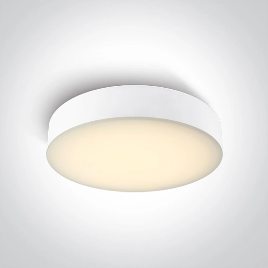 WHITE PLAFON 20W CCTV IP65 230V 67498/W/V 32cm ONE LIGHT