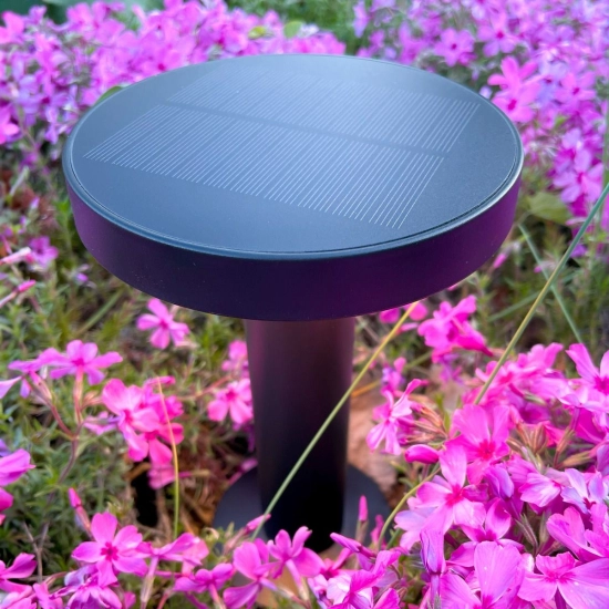 Lampa solarna CARLI DT33611 ZUMA LINE