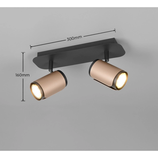 GILLAN – 814500265 excl. 2x GU10 · max. 10W TRIO