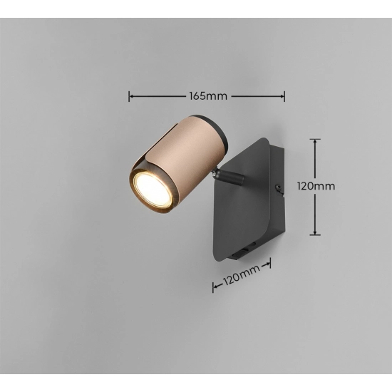 GILLAN – 814570165 excl. 1x GU10 · max. 10W TRIO