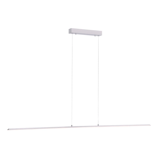 Lampa wisząca Pure Lite Srebrny 8377-55 Paul Neuhaus - zdjęcie produktu