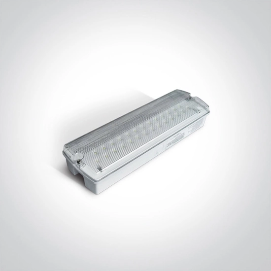 WHITE 5W EMERGENCY M3hrs IP65 230v 89404 ONE LIGHT